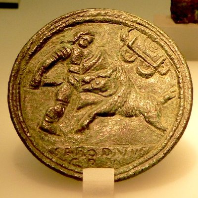 Crupellarius 3.jpg